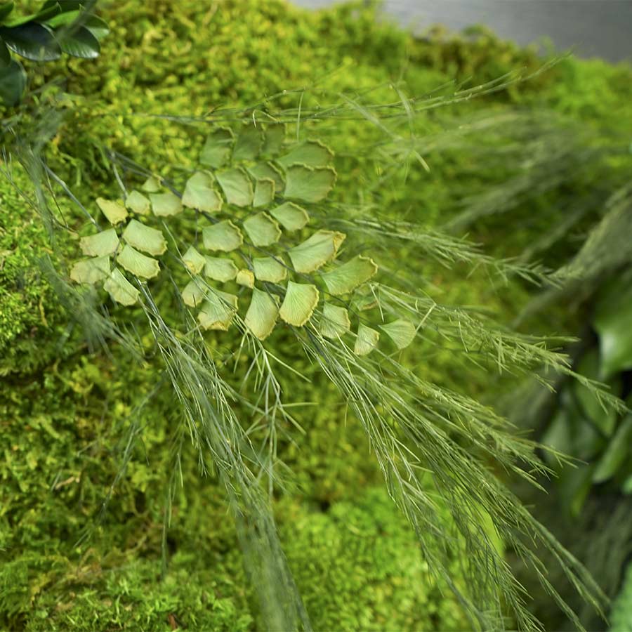 Garden-design-slider-1 | Green Walls a Vicenza Garden-design-slider-1 | Green Walls a Vicenza