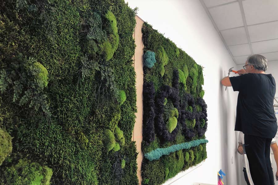 Fasi_6 | Green Walls a Vicenza